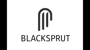BlackSprut at Its Best: Entry Point Strategies post thumbnail image